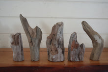 Load image into Gallery viewer, Driftwood Folk - Set of 5 - Assorted
